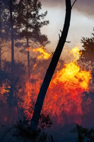 Southern Europe burns as 3 firefighters die